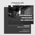 Flyer de gim